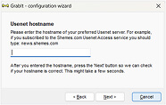 Screen from the GrabIt configuration wizard that asks for the Usenet hostname.