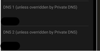 IP Settings screen with two fields: DNS1 (unless overridden by Private DNS) and DNS2 (unless overridden by Private DNS)